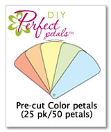 DIY fan program - color